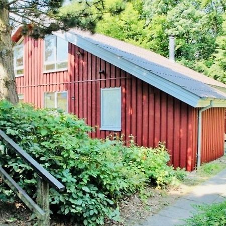 Komfort-Ferienhaus - Extertal Ferienpark - Entspannung, Natur, Wald, Familie #51 Zewnętrze zdjęcie